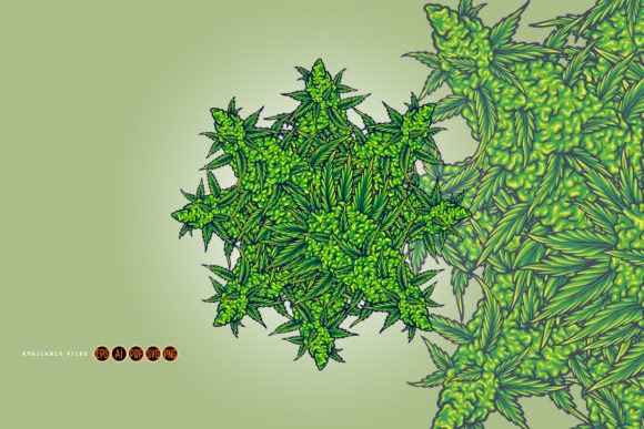 Creative Uses for Cannabis Mandala Illustrations