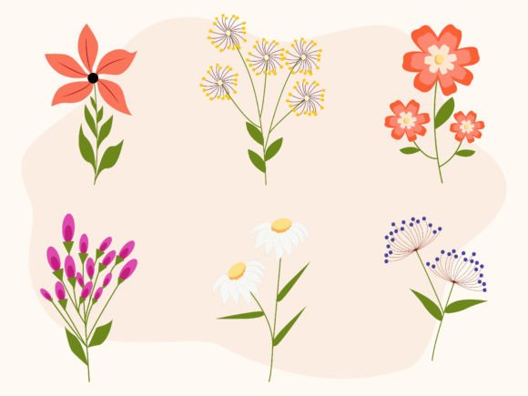 Flower Set Illustrations: Elevate Your Brand with Botanical Design