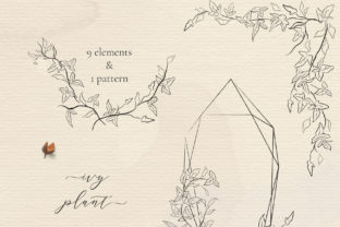 Line Drawing Ivy Plant Illustrations: Elevate Your Brand Identity