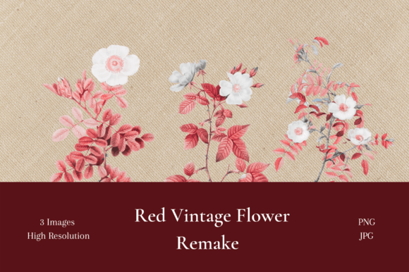 Stunning Vintage Red Flower Illustrations for Timeless Projects