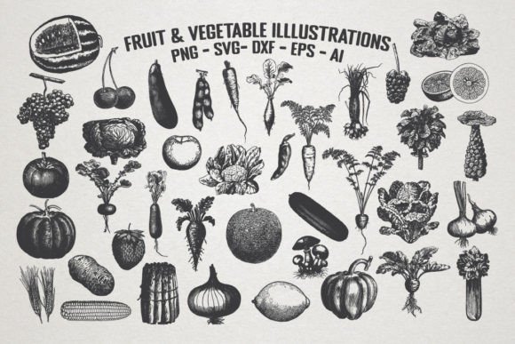 Timeless Charm: A Guide to Vintage Fruit & Vegetable Illustrations