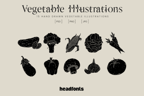 Vegetables Illustrations: A Hand-Drawn Design Asset for Every Project